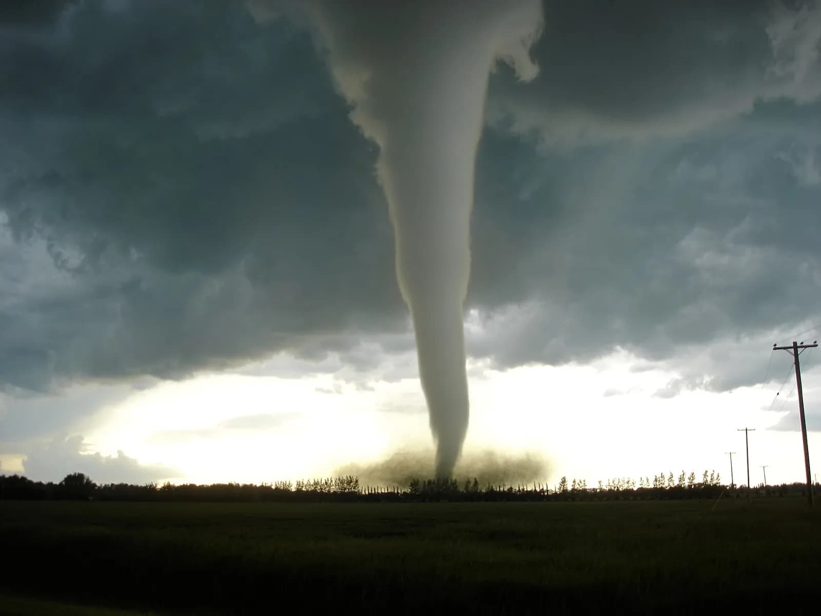 A tornado near Elie, Manitoba, on 22 June 2007: a narrow pale funnel hangs from dark storm clouds to a field, with a ring of dust and debris at its base, a bright band of sky on the horizon and power poles at the right