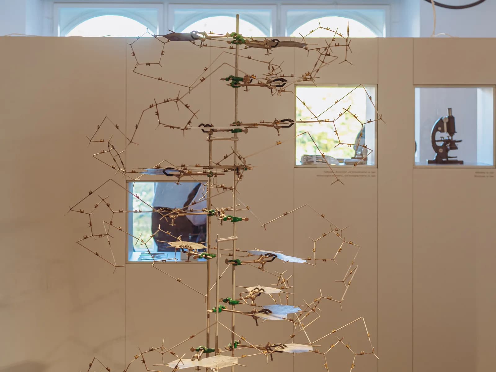 Museum replica of Watson and Crick’s 1953 DNA double helix model: metal rods and flat plates on a vertical stand, with a display case behind it